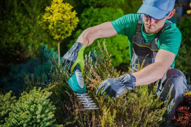 landscaping services Lake Winnebago